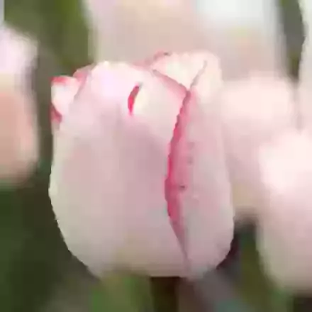 Hugs & Kisses